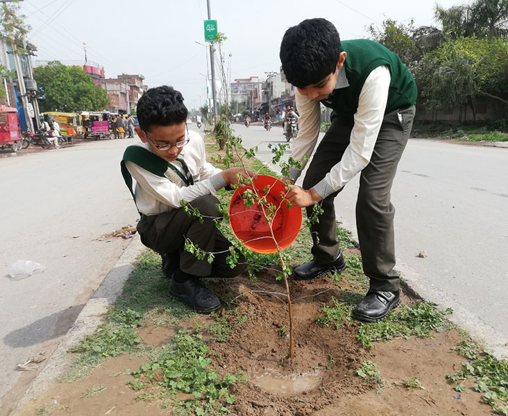 The Aga Khan School, Hafizabad, planted 60 trees in the local area as part of a city-wide My Tree-My Hafizabad campaign, launched by the city’s administration. 