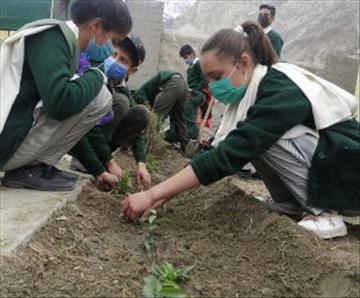 Improving Pakistan’s environmental future, one tree at a time 
